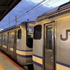 yokosukaline