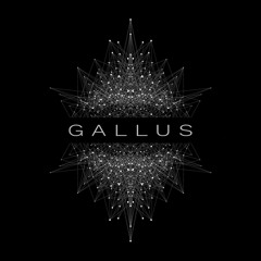 Gallus.Techno