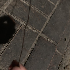 ポト