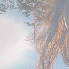 Nora Lani