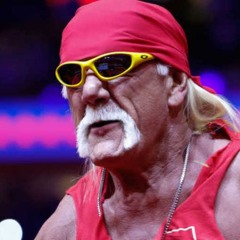 MisterSuplex