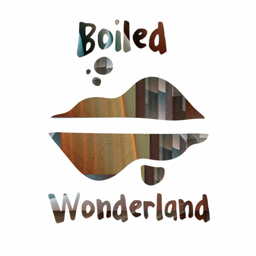 Boiled Wonderland Records’s avatar