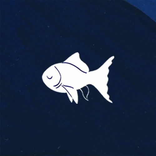 sleepy fish’s avatar