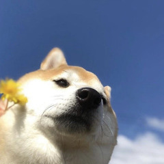 Miraculous