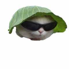peepeepoopoo