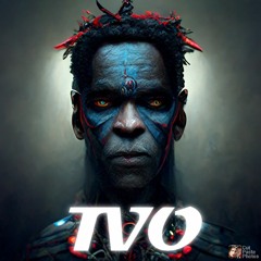 TVO - The Voodoo Organisation
