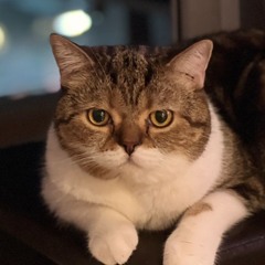 Tawatchai Siriwarawat