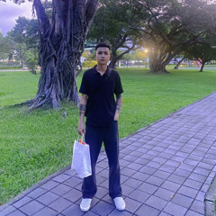 Kien Manh Ha