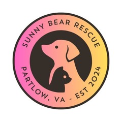 Sunny Bear Radio