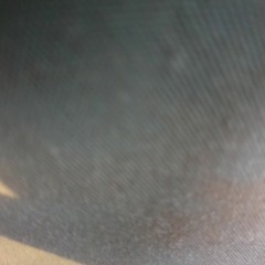 yowz