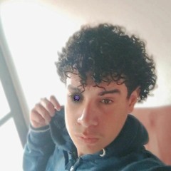 stylesz