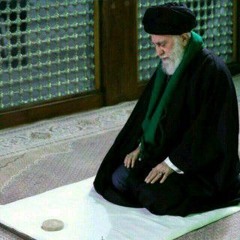 Seyyed.M.Y.Hosseini