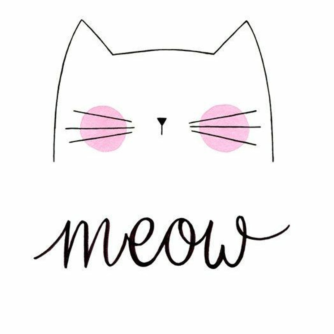 Meow Share