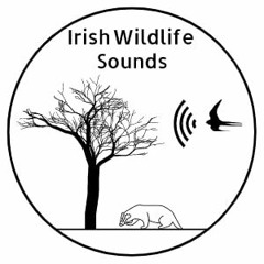Irish Wildlife Sounds