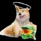 Lovable Halo Addiction Podcast