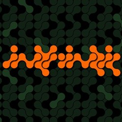 Intrinzic