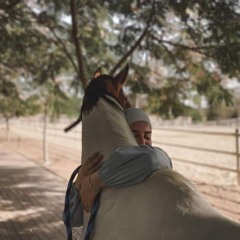 🐎🌷