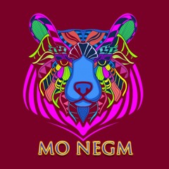Mohamed Negm