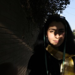 Maryam Shafiee