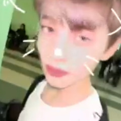 ANTI DAUN