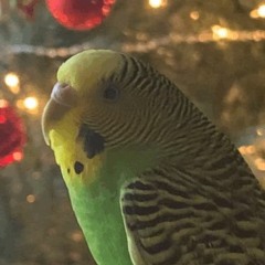 TuckNRoll