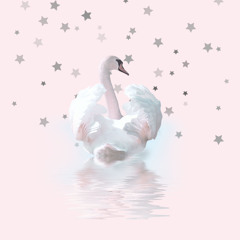 pinkswan