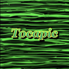Tocapic