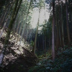 じゅん