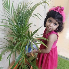naseer shezan