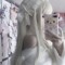 UwUGlitterSparkles