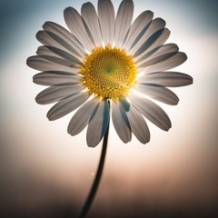 rosemiss