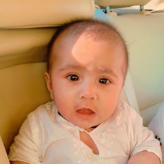 Muhammad Hussain