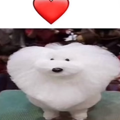 YRUI