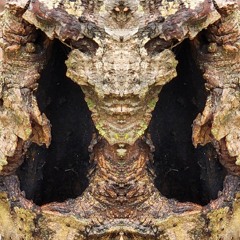 Sonic oXygen