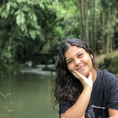 sarinha