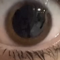 wwwwww