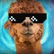 Turboalpacca