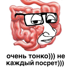 няsha kawai десу