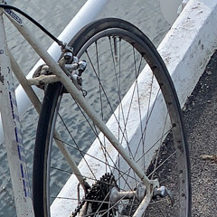 Velo