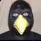 loyalskrrt