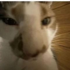 listen here you
