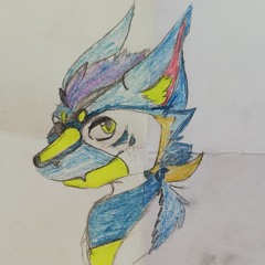 voidjek
