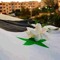 hoosam Yassin