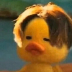 Duckiiiii