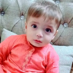 Habib Butt