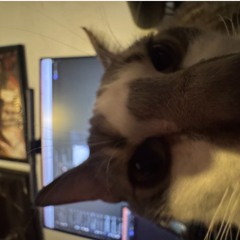 SNTLU