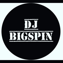 DjbigspinLA