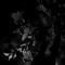 dark_Rose