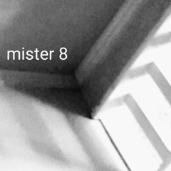 Mister 8