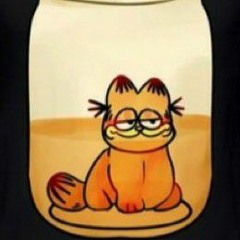 garfield in a jar